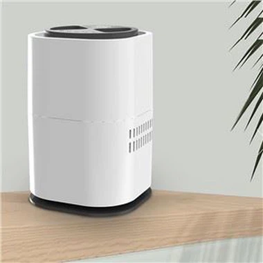 Opremljena sa negativnim ion air humidifier