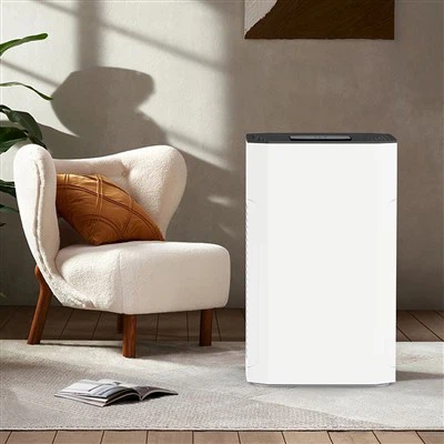 Bkj -80 b HEPA Larfe pročišćivač zraka za disanje svježeg zraka